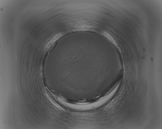 X0000068810389200605121256