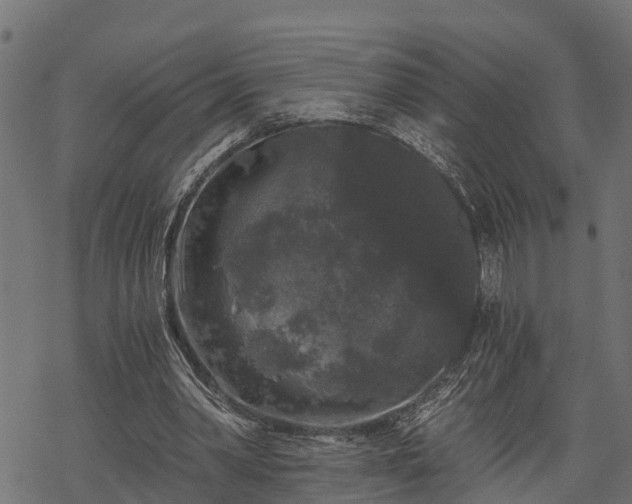 X0000068810390200605121256