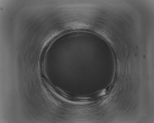 X0000068810391200605121256