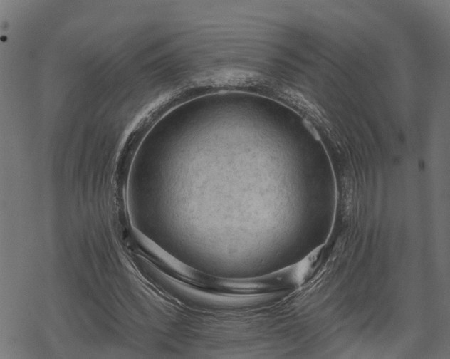 X0000068810392200605121256