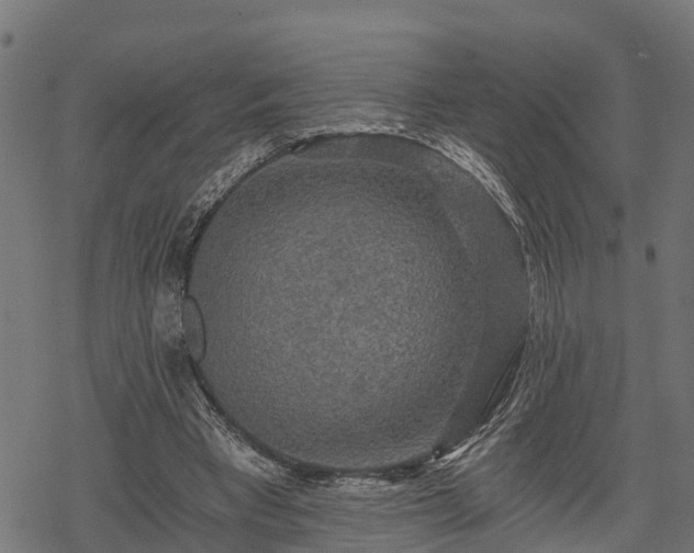 X0000068810393200605121256