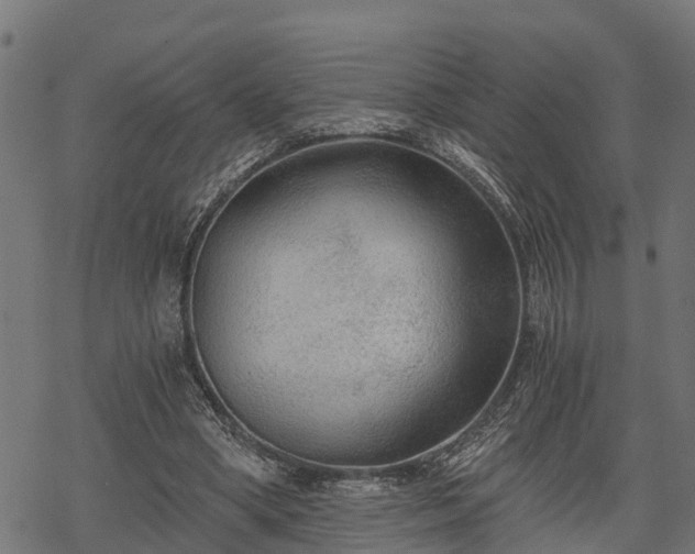 X0000068810394200605121256