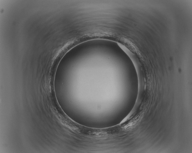 X0000068810395200605121256