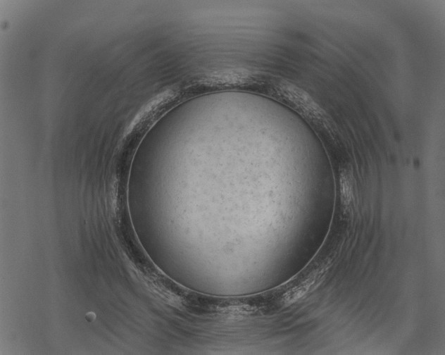 X0000068810396200605121256