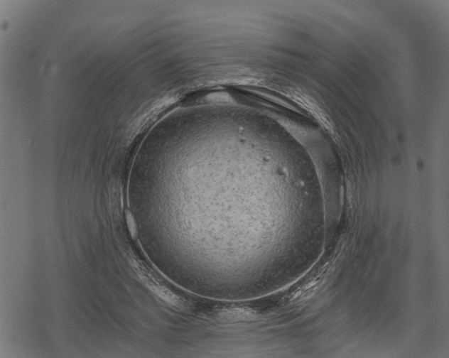 X0000068810397200605121256