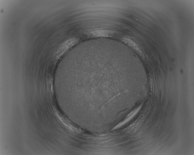 X0000068810398200605121255