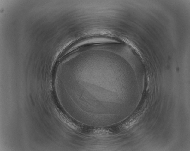 X0000068810399200605121255