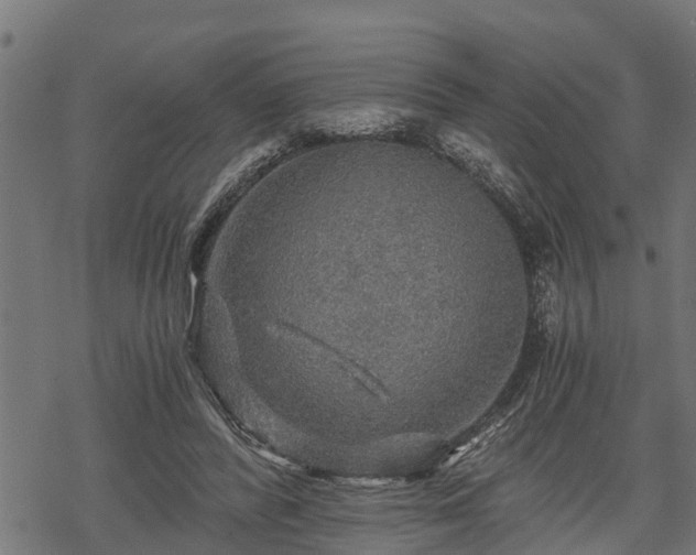 X0000068810400200605121255