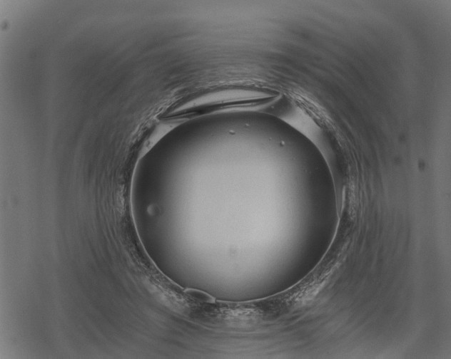 X0000068810401200605121255