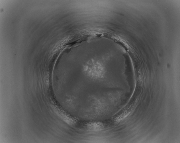 X0000068810402200605121255