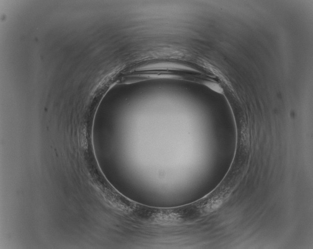 X0000068810403200605121255