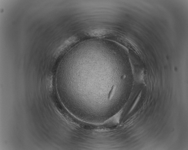 X0000068810404200605121255