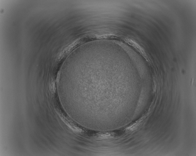 X0000068810405200605121255