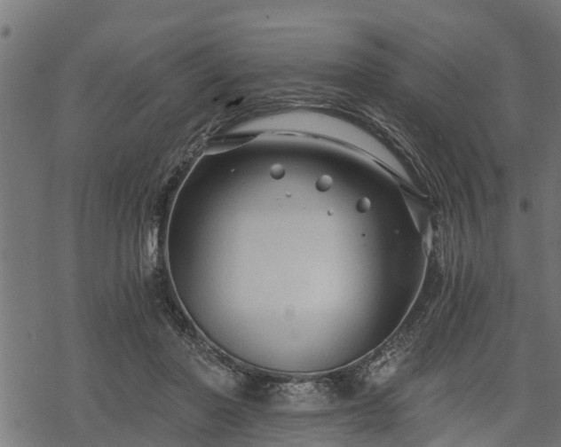 X0000068810406200605121255