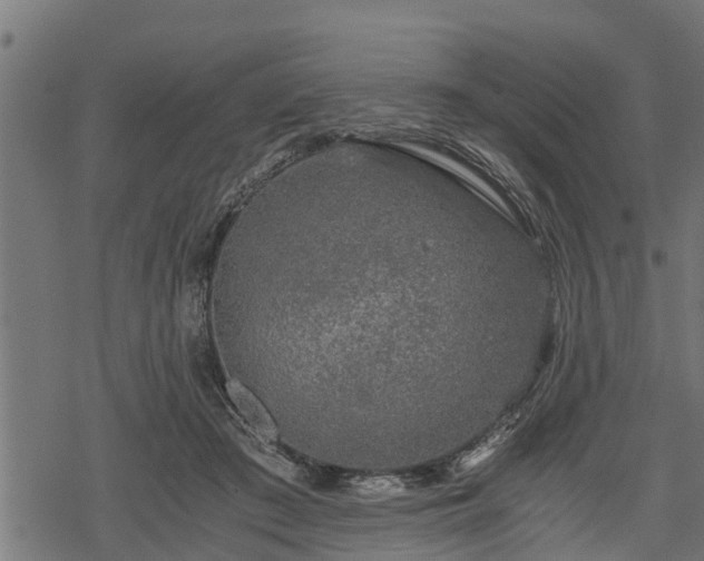 X0000068810409200605121255