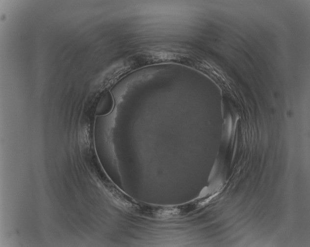 X0000068810410200605121255