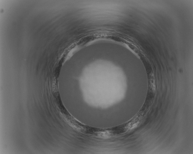 X0000068810411200605121255