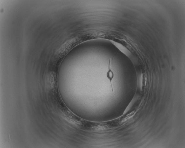 X0000068810412200605121255