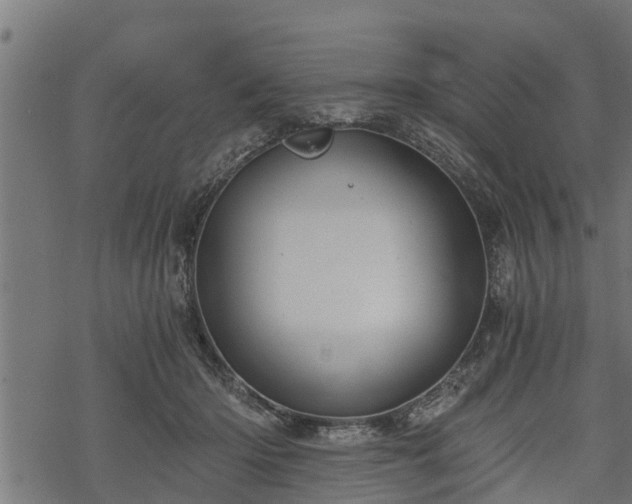 X0000068810414200605121255