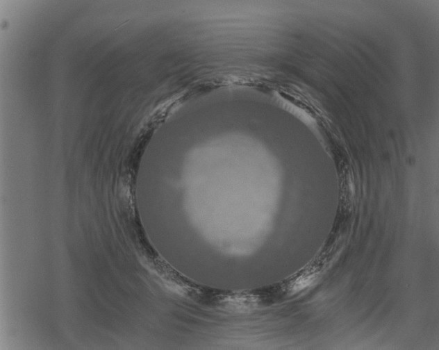 X0000068810415200605121255