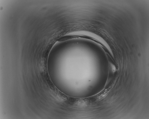 X0000068810416200605121255