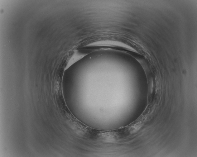 X0000068810417200605121255