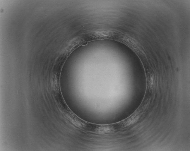 X0000068810418200605121255