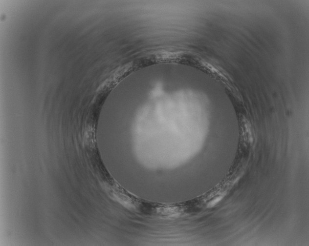 X0000068810419200605121255