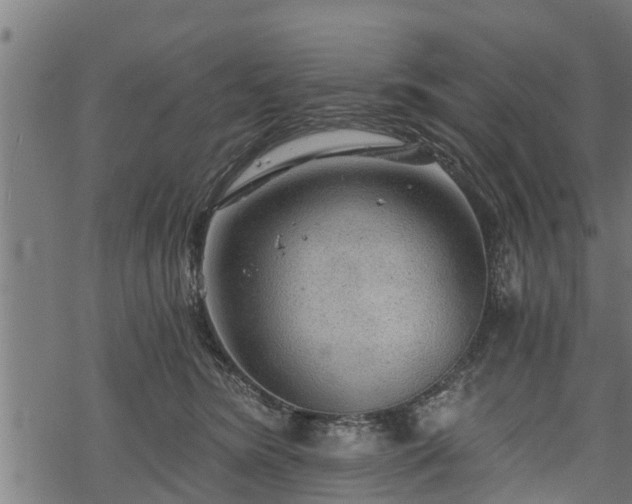 X0000068810420200605121255