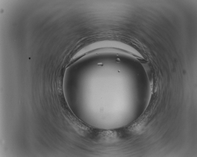 X0000068810421200605121255