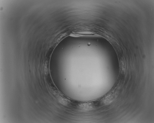 X0000068810422200605121255