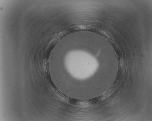 X0000068810423200605121255