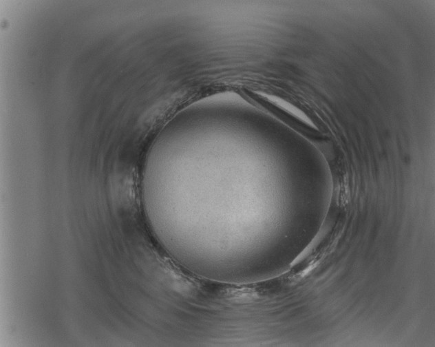 X0000068810424200605121255