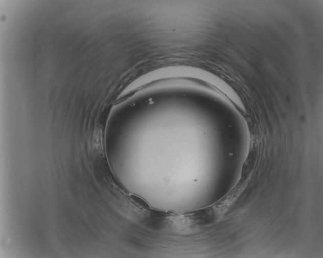 X0000068810425200605121255