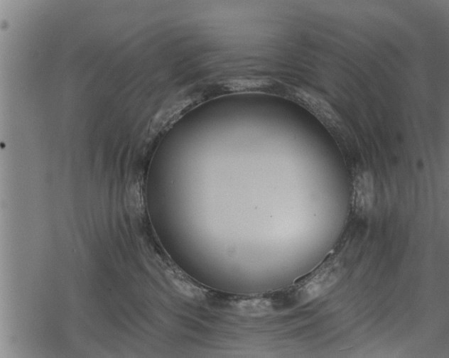 X0000068810426200605121255