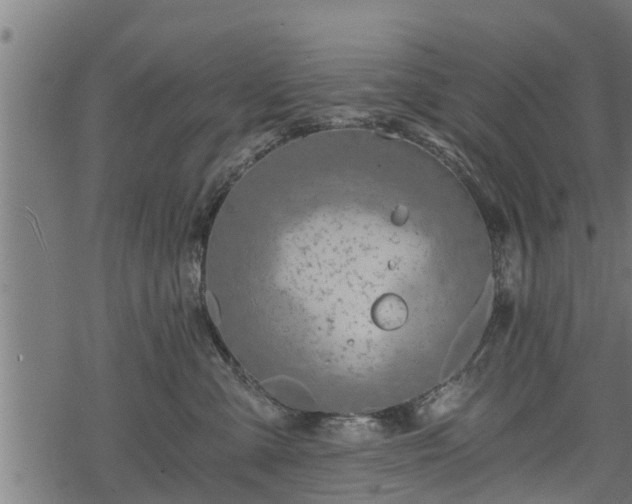 X0000068810427200605121255