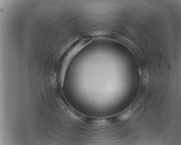 X0000068810428200605121255