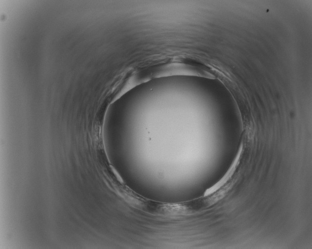 X0000068810429200605121255