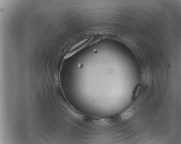 X0000068810430200605121255