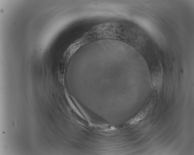 X0000068810431200605121255