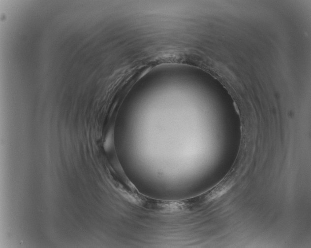 X0000068810432200605121255