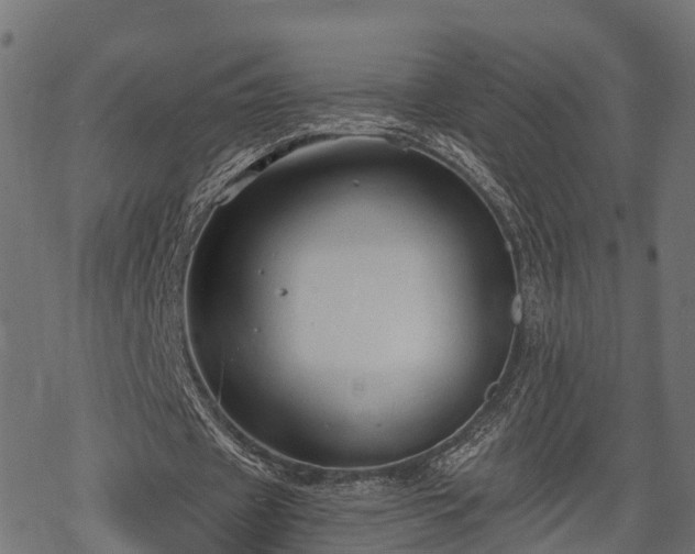 X0000068810433200605121254