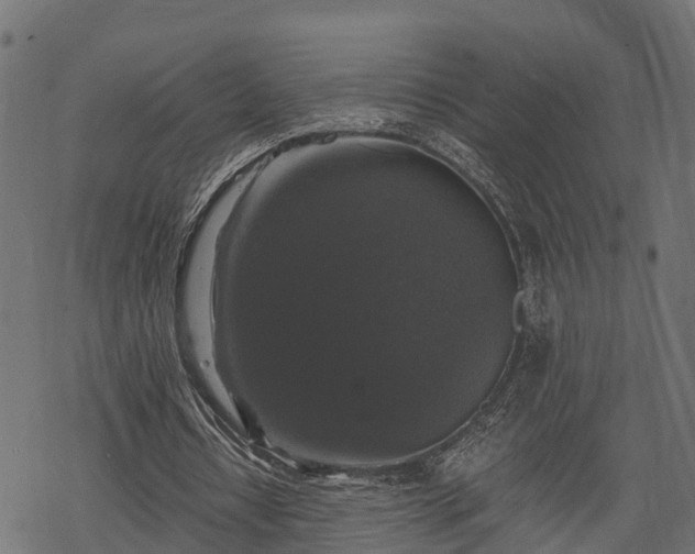 X0000068810434200605121254