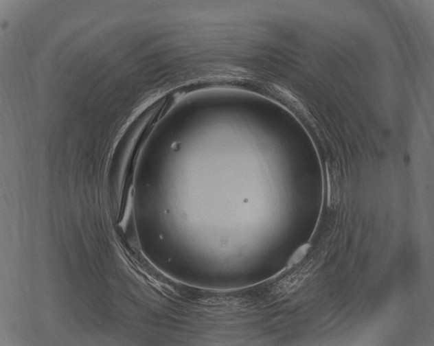 X0000068810435200605121254