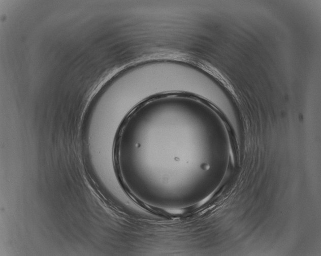 X0000068810436200605121254