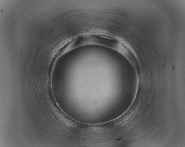 X0000068810437200605121254