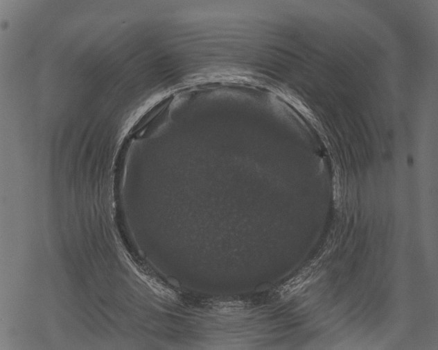 X0000068810438200605121254