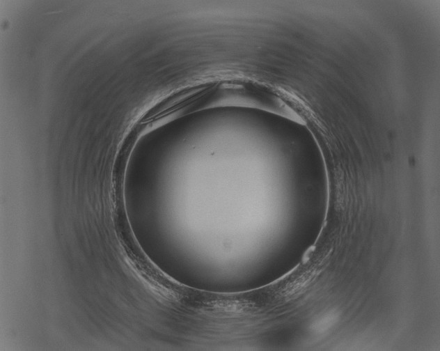 X0000068810439200605121254