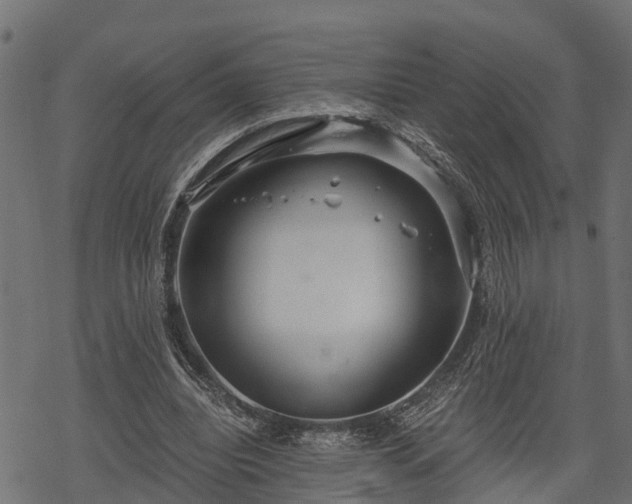 X0000068810440200605121254