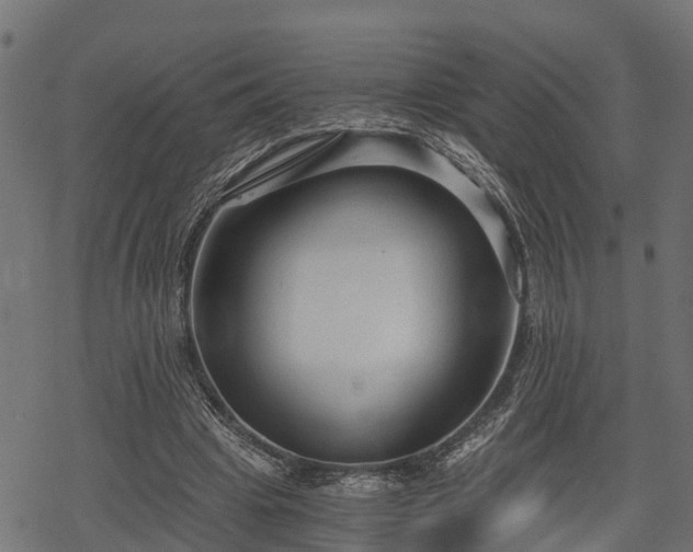 X0000068810441200605121254